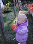 May I have this pumpkin?