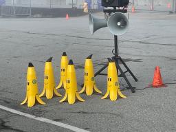 Banana-peel traffic "cones&quit;